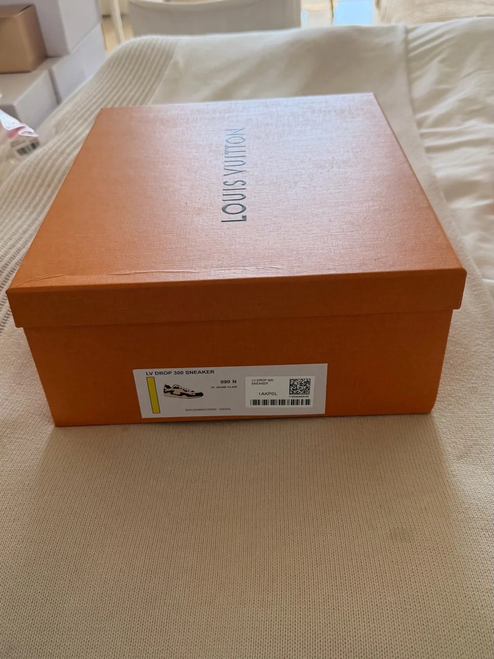 Authentic Louis Vuitton Empty Shoe Box + Shopping Bag